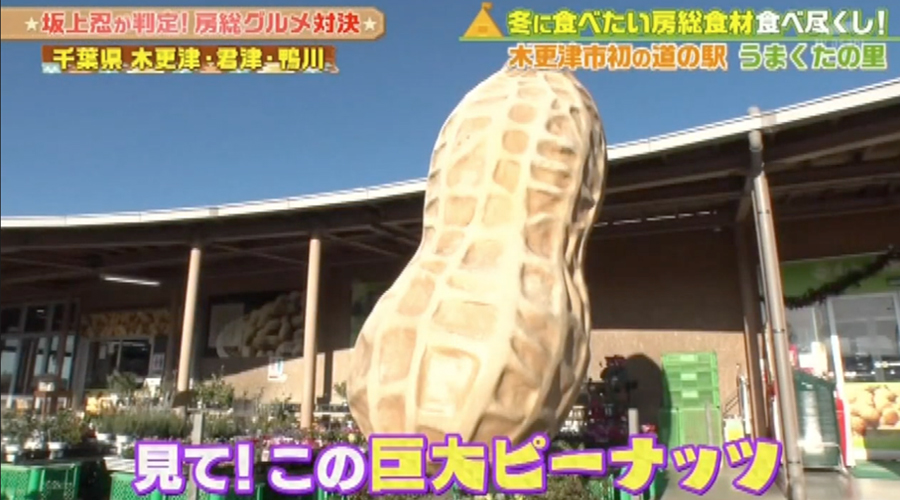 テレビ番組紹介