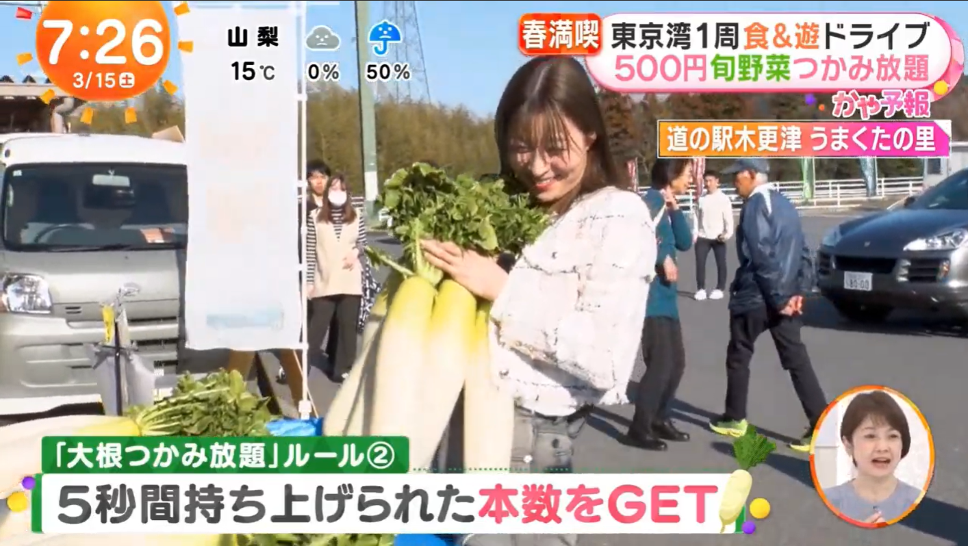 テレビ番組紹介