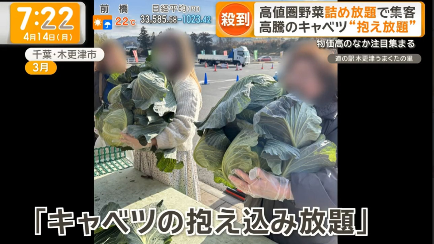 テレビ番組紹介