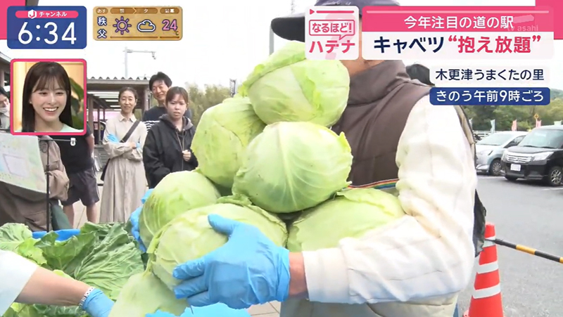 テレビ番組紹介