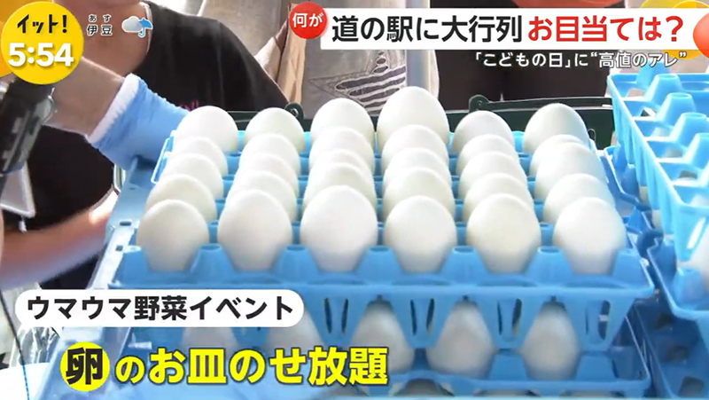 テレビ番組紹介