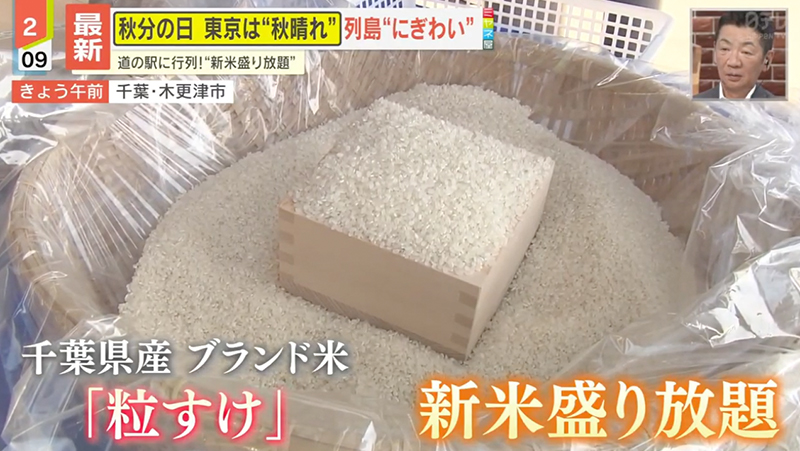 テレビ番組紹介