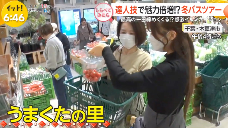 テレビ番組紹介