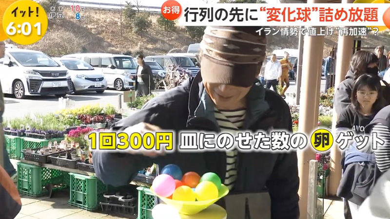 テレビ番組紹介