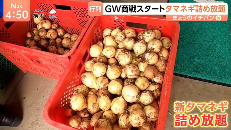 テレビ番組紹介