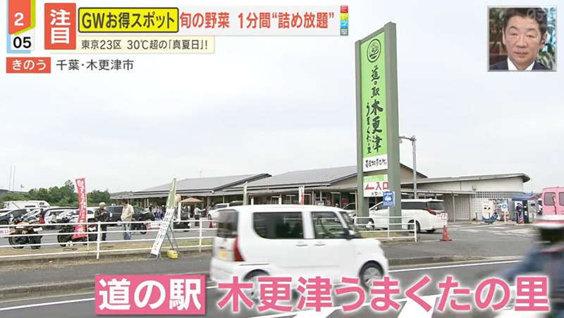 テレビ番組紹介