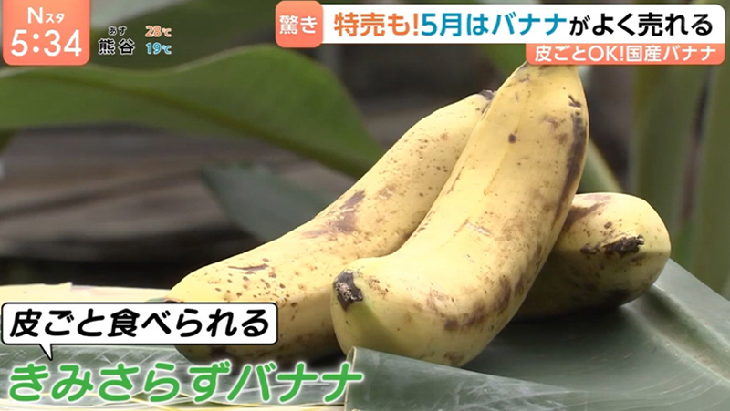 テレビ番組紹介